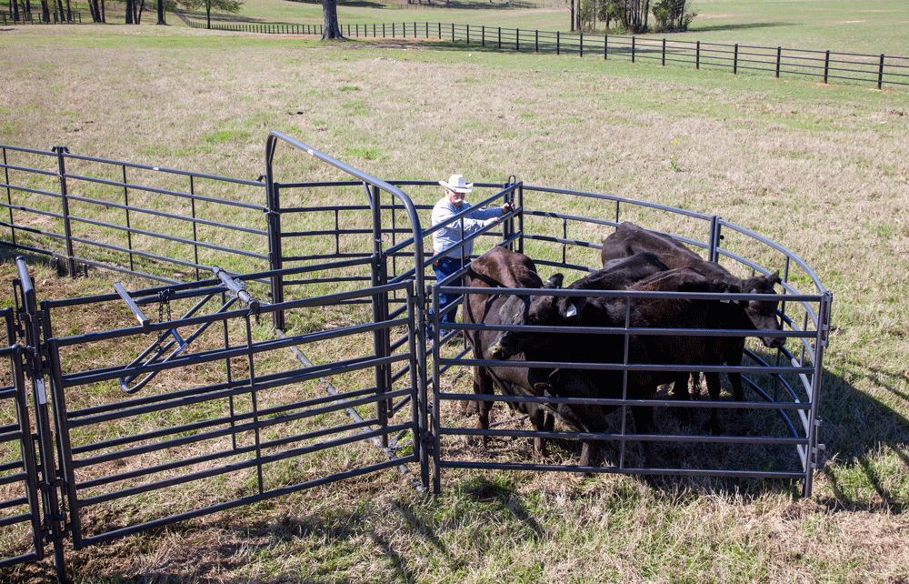 Priefert Premier Open Sweep Corral PS13520 4IMG 8348.png